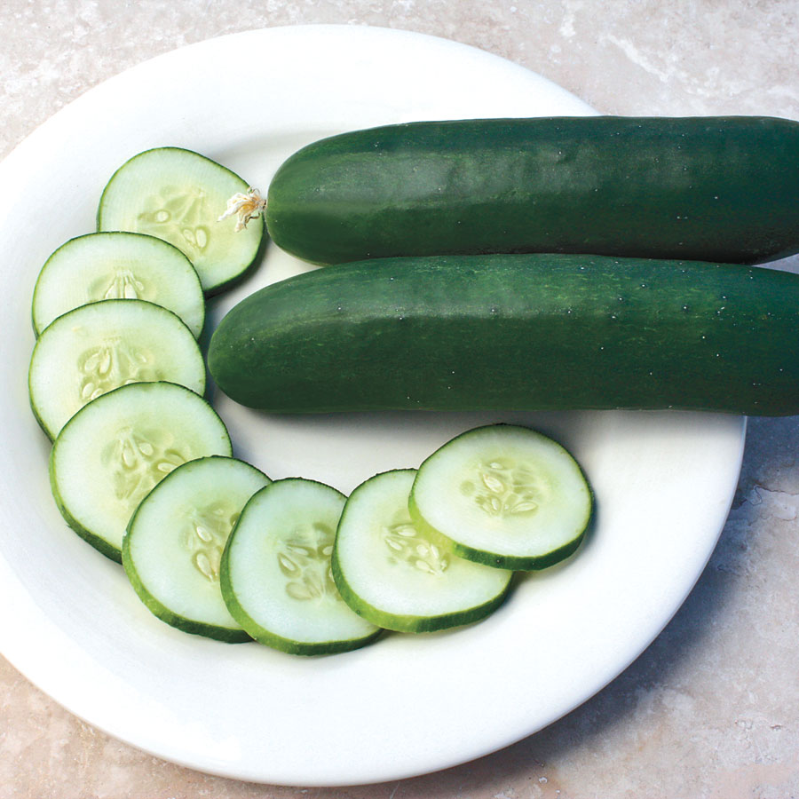 Cucumber  - Slice More - Slicer/Salad